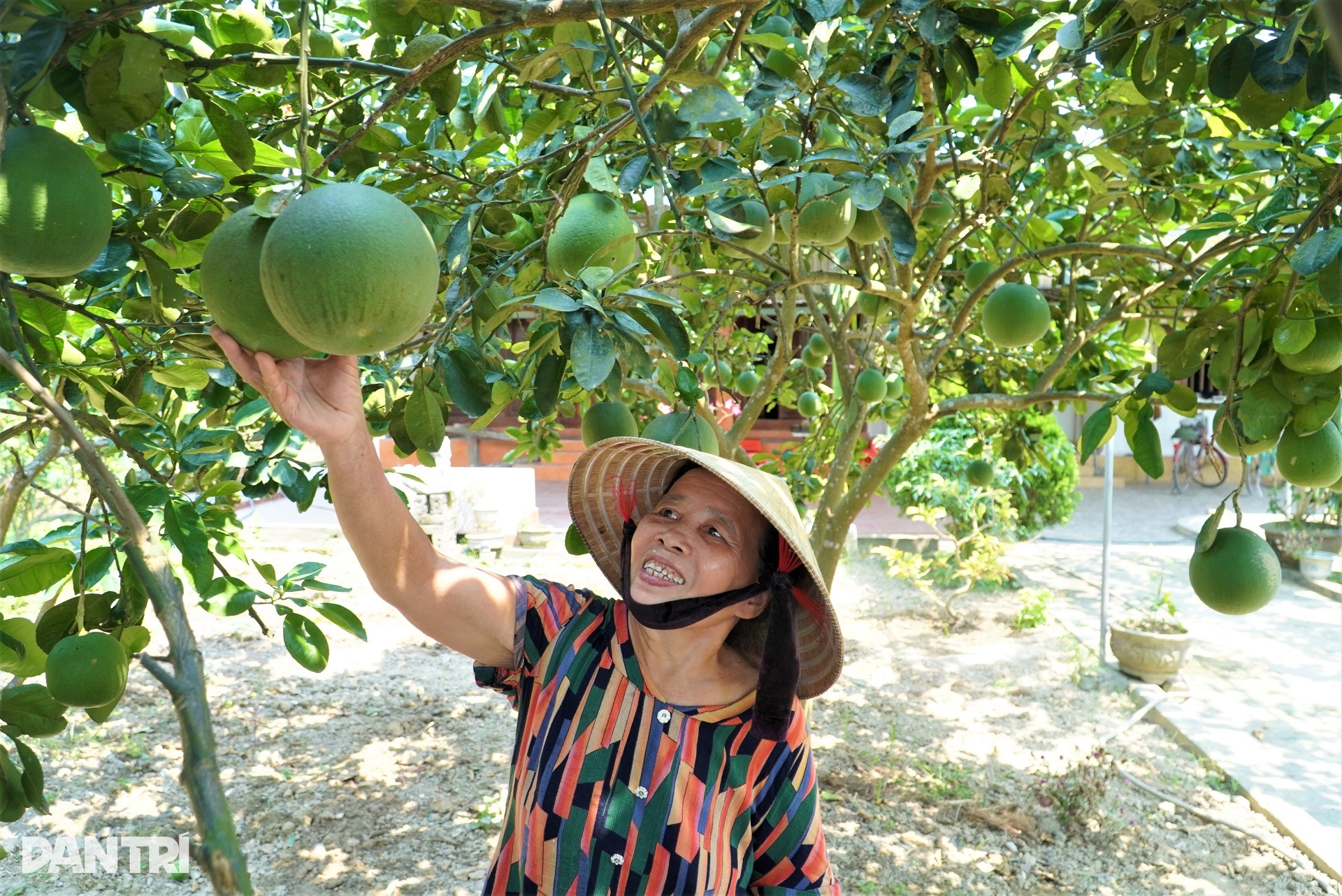 View - Quê hương cố Tổng Bí thư Trần Phú - "Về làng quê ngỡ như phố" | Báo Dân trí