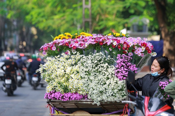 Hà Nội: Họa mi về phố - Ảnh 8. Hà Nội: Họa mi về phố - Ảnh 8.