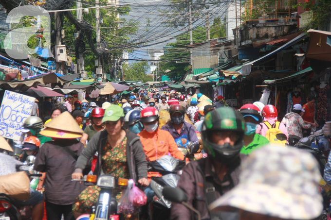 Lá xông Miền tay vượt trăm cây số lên Sài Gòn, bánh ú tro 