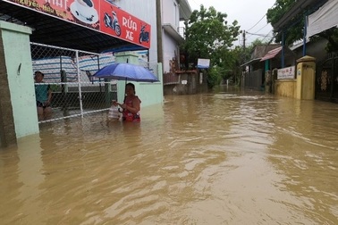 Mưa cực lớn, nước ngập ngang người, cây đổ la liệt