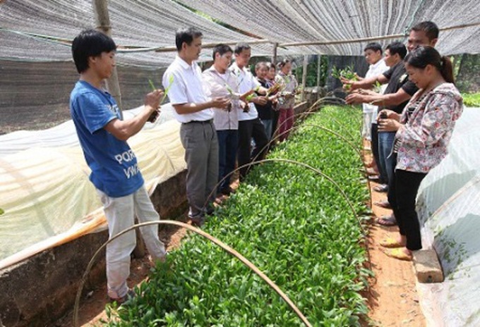 Lạng Sơn: Đào tạo nghề cho lao động nông thôn gắn với nhu cầu thực tế của địa phương - Ảnh 3.