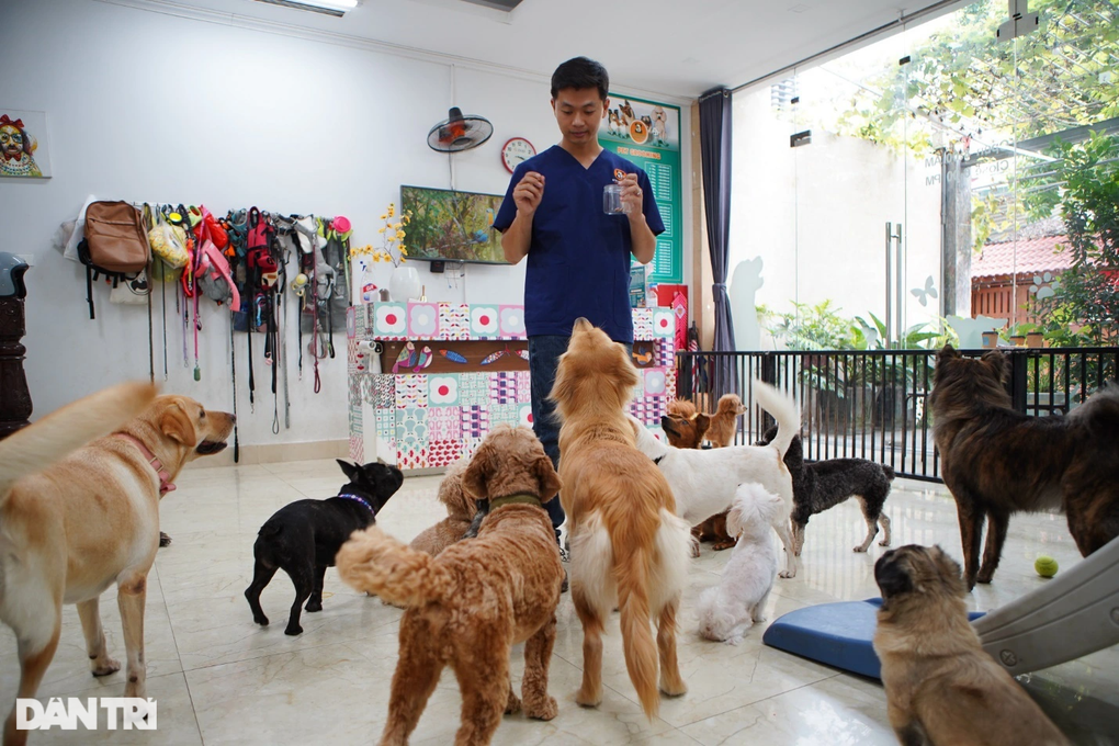 Lạ lùng dịch vụ gửi thú cưng đi... nhà trẻ sang chảnh ở Hà Nội - 2 Lạ lùng dịch vụ gửi thú cưng đi... nhà trẻ sang chảnh ở Hà Nội - 2