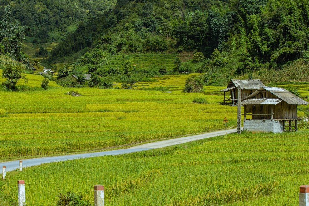 Sa Pa quyến rũ mùa lúa thay màu! - 4 Sa Pa quyến rũ mùa lúa thay màu! - 4