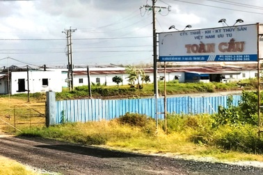 Công ty 100% vốn nước ngoài dùng đất sai mục đích, bị truy thu 2,2 tỷ đồng