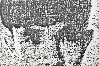 Gã thanh niên mang nhiều vỏ bọc ở Đồng Nai