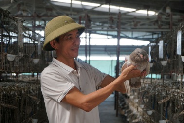 Ngã rẽ nghề nghiệp giúp người đàn ông kiếm 100 triệu đồng/tháng ở quê