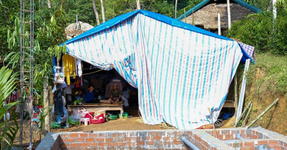 Chú chó tưởng như đã bị chôn vùi trong vụ sạt lở, được tìm thấy 4 ngày sau (Ảnh: Thế Hưng).