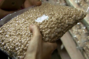 Nghi vấn trà sữa Feeling Tea sử dụng nguyên liệu không rõ nguồn gốc