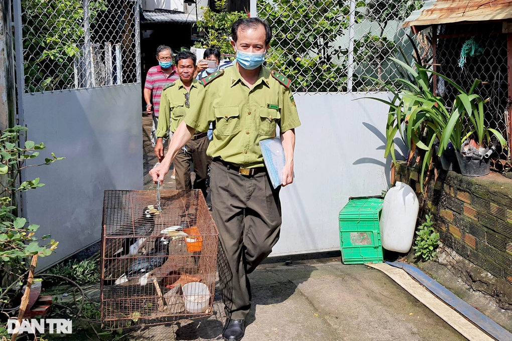 TPHCM: Cụ ông 72 tuổi bàn giao loài chim cái gì nó cũng ăn cho kiểm lâm - 2 TPHCM: Cụ ông 72 tuổi bàn giao loài chim cái gì nó cũng ăn cho kiểm lâm - 2