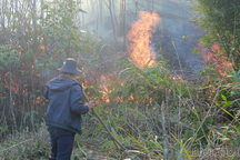 Khống chế xong đám cháy ở VQG Hoàng Liên, nhiều người trắng đêm canh rừng
