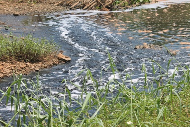 Cụm công nghiệp "bức tử" dòng kênh