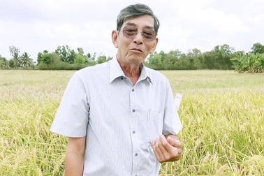 "Cha đẻ" giống gạo ngon nhất thế giới ST25 gửi đơn "kêu cứu"