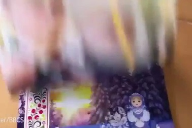 Hình ảnh Putin ôm mèo lên lịch 2017