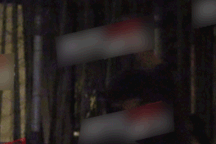 "Nóng": Bắt gặp Tạ Đình Phong nắm tay Vương Phi