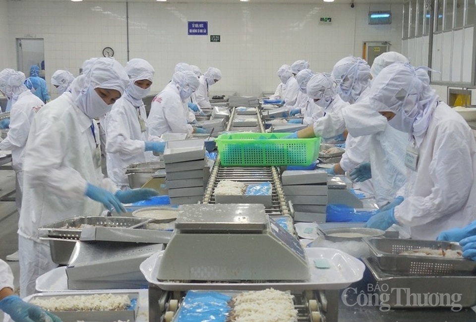 Đà Nẵng: Thị trường việc làm sau dịch Covid-19 sôi động trở lại - 1 Đà Nẵng: Thị trường việc làm sau dịch Covid-19 sôi động trở lại - 1