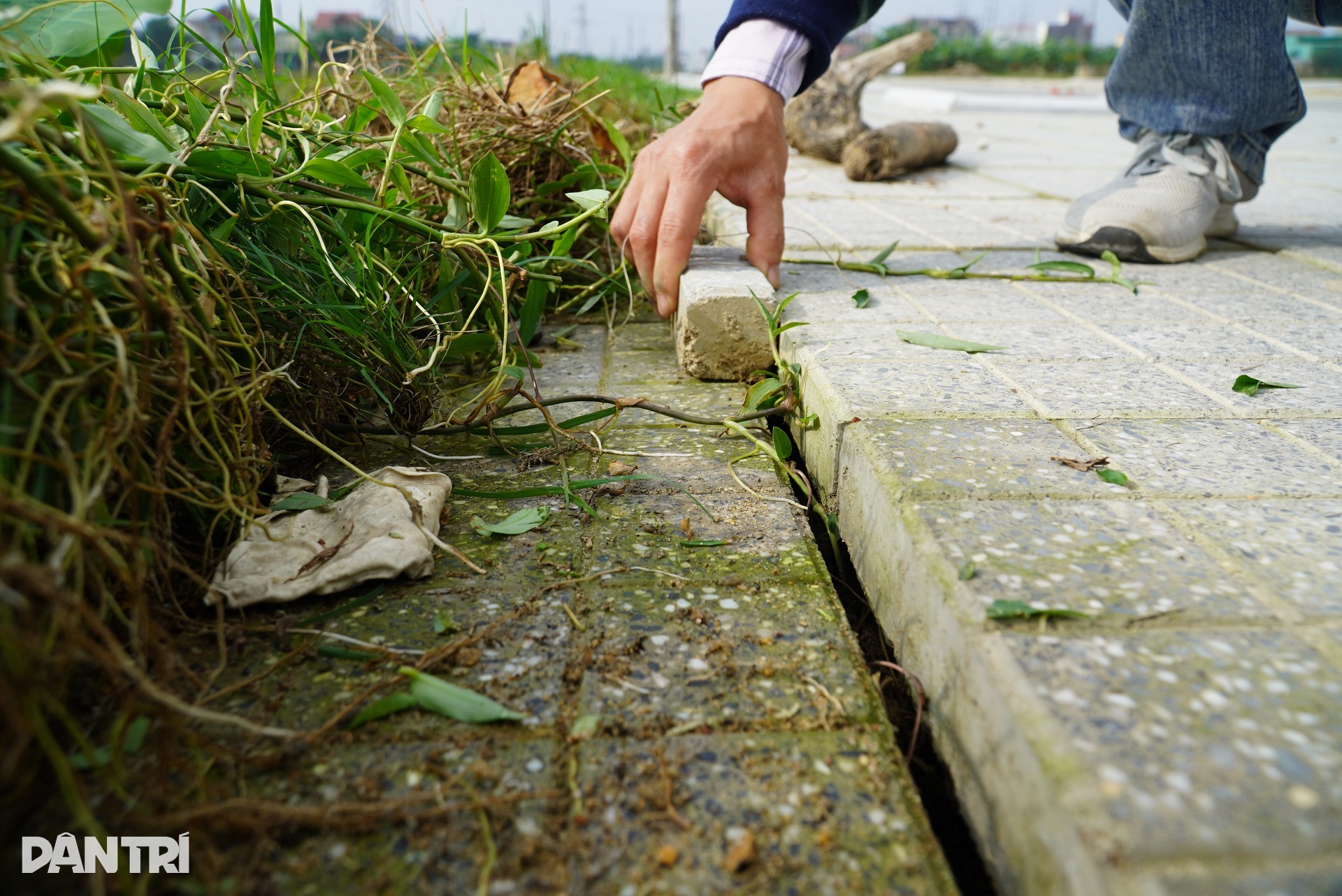 46 tỷ đồng 1km đường vào Văn Miếu: Chưa nghiệm thu đã cào lên làm lại - 9 46 tỷ đồng 1km đường vào Văn Miếu: Chưa nghiệm thu đã cào lên làm lại - 9