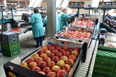 EU nhất trí gia hạn trừng phạt kinh tế Nga thêm 6 tháng