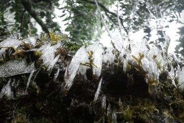 Băng tuyết xuất hiện trên đỉnh Fansipan - Sa Pa