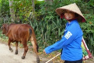 Nhịp sống bình dị nơi miền quê Phú Thọ dự kiến sáp nhập về Hà Nội