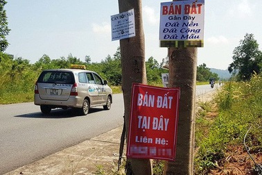 Quy trách nhiệm Chủ tịch tỉnh nếu để "cò đất" lộng hành ở các đặc khu