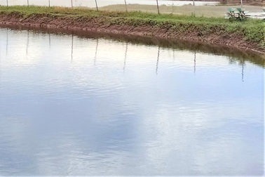 Ba chị em ra ao tôm giăng lưới, 2 người tử vong