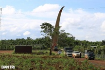 Chủ tịch tỉnh làm việc vụ người dân và dự án điện gió "căng như dây đàn"