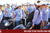 Hệ lụy từ cơn sốt xuất khẩu lao động