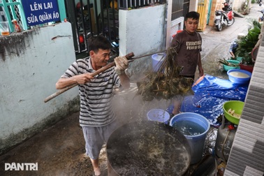 Hơn nửa thế kỷ "giữ lửa" nồi bánh ú lá tre dịp Tết Đoan Ngọ