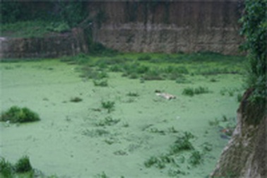 Lại thêm 3 trẻ rơi xuống hố công trình tử nạn 