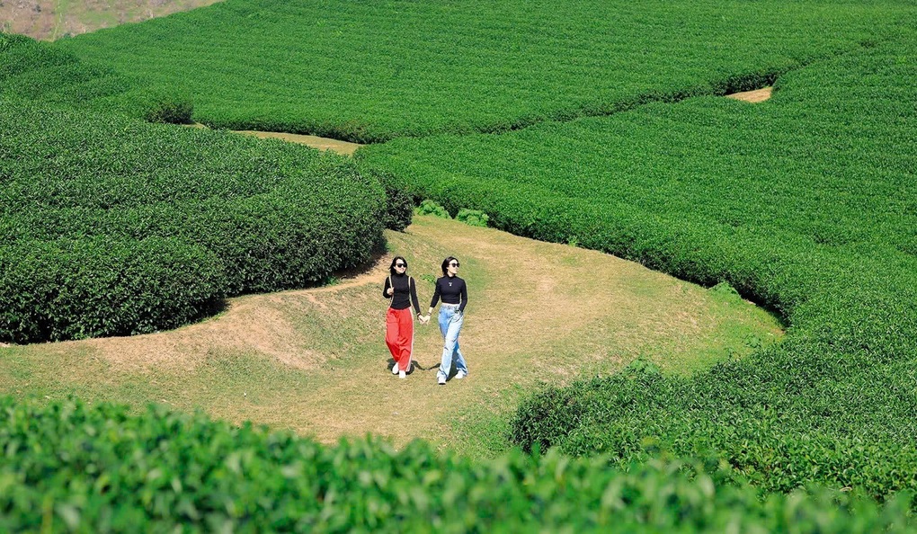 Nông nghiệp xanh ở Sơn La tạo nên thương hiệu du lịch nông thôn Tây Bắc - 1 Nông nghiệp xanh ở Sơn La tạo nên thương hiệu du lịch nông thôn Tây Bắc - 1