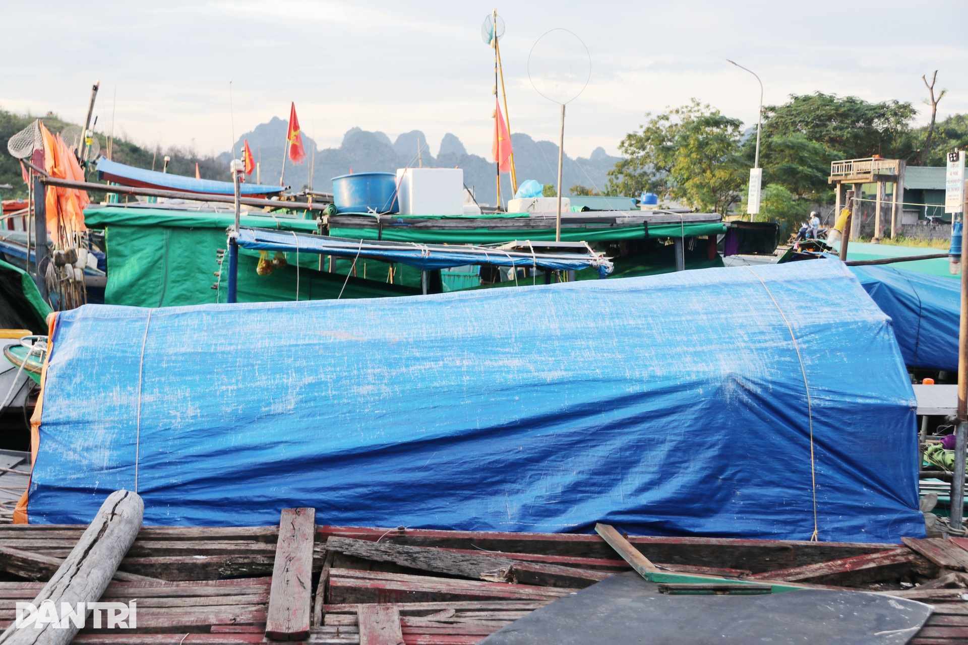 Tàu thuyền ở Quảng Ninh tìm khe núi neo đậu tránh trú bão Matmo - 9