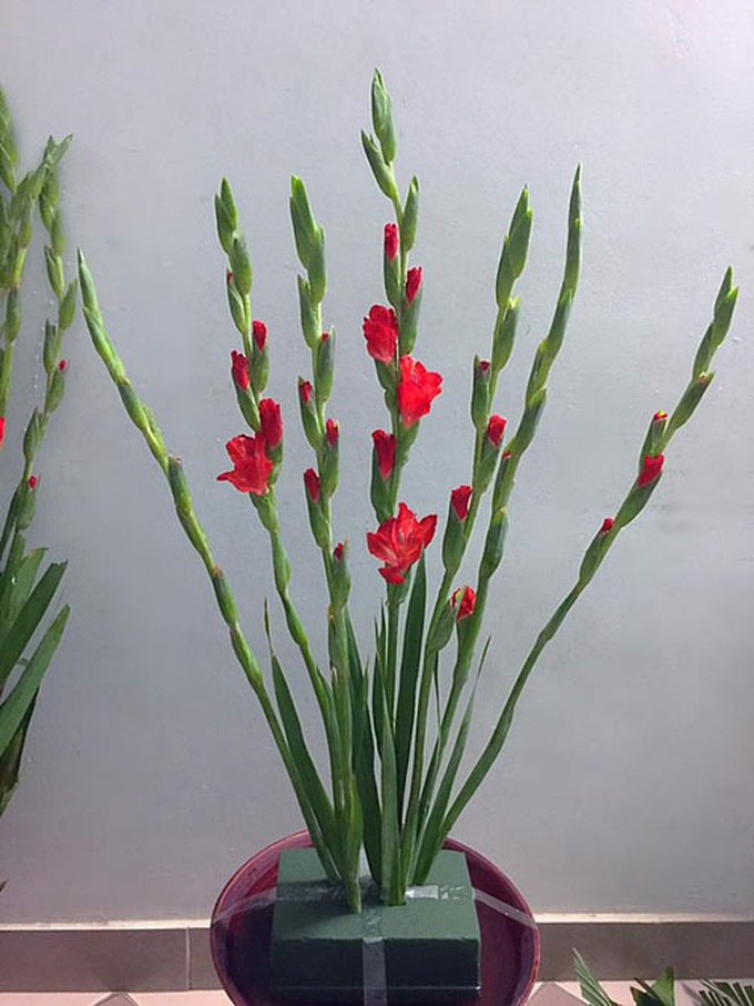 - Bước 2: cắm mỗi bên bông chính 2 bông layon, các bông này thấp dần xuống (cắm như chữ V và giống hình dẻ quạt). Nhớ quay đầu cụp của bông hướng vào nhau, lấy tay uốn nhẹ đầu bông cho cụp tí nhé.- Bước 3: ta cắm tầng 2, với bắt đầu 2 bông phía trước sole với bông chính giữa