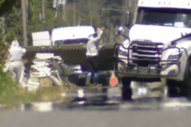 Xe tải bị lật đổ, 250 triệu con ong vỡ tổ gây náo loạn đường phố