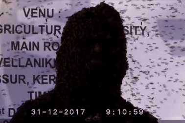 Chàng trai để 60.000 con ong bám kín mặt hơn 4 giờ, lập kỷ lục thế giới