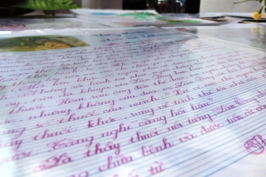 Thủ khoa chuyên văn lớp 10 làm bài thi 21 trang bị xỉa xói "không não"