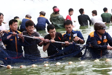 Huy động 20 chiến sỹ đặc công tham gia lai dắt cụ Rùa 