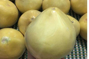 Bưởi lạ vàng bóng: Tò mò ăn thử, lo sợ nguồn gốc