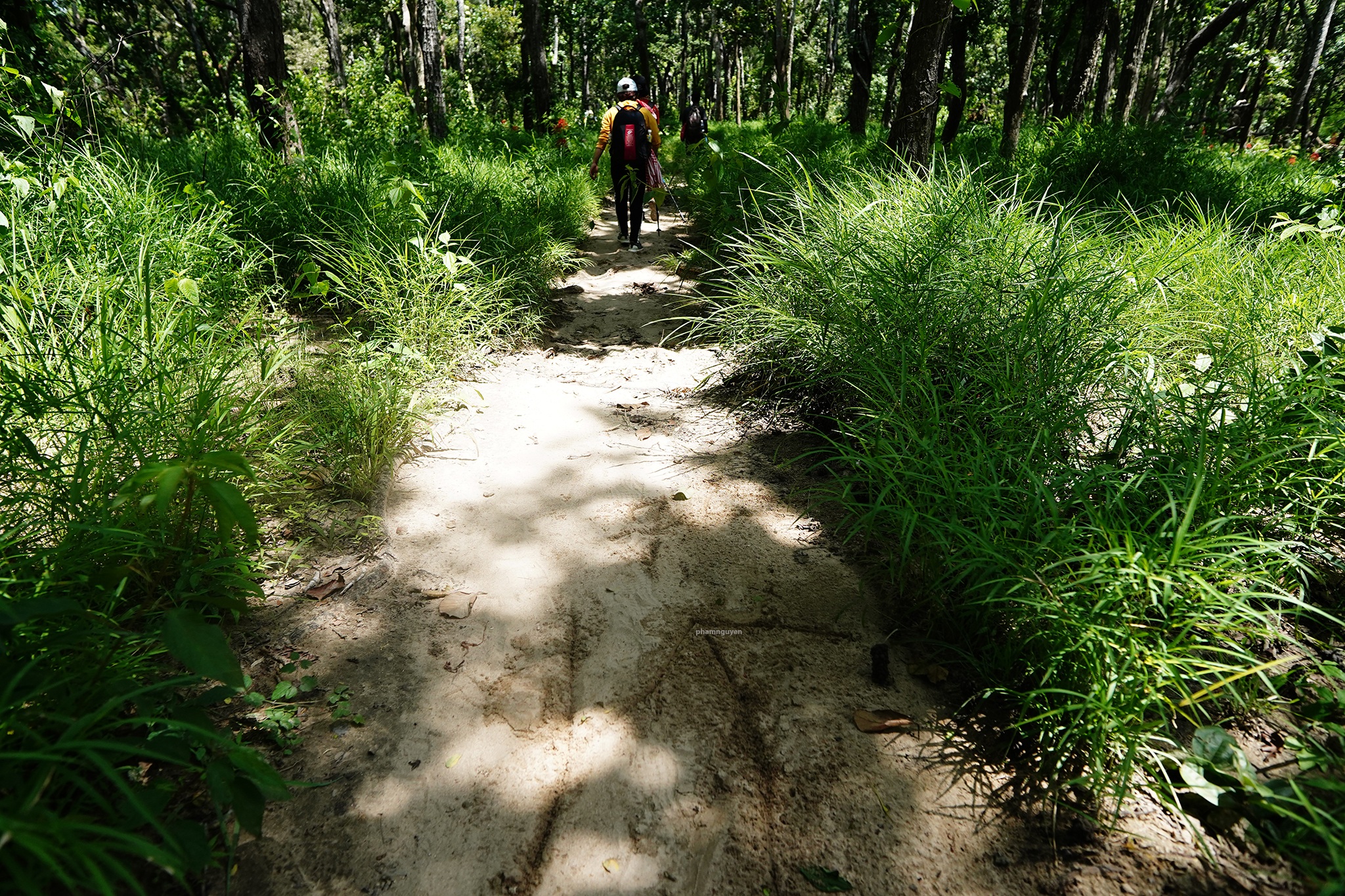 Tà Năng – Phan Dũng: Cung đường đi bộ đẹp nhất Việt Nam - 23