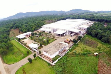 Trang trại TH true MILK đạt kỷ lục lớn nhất Châu Á