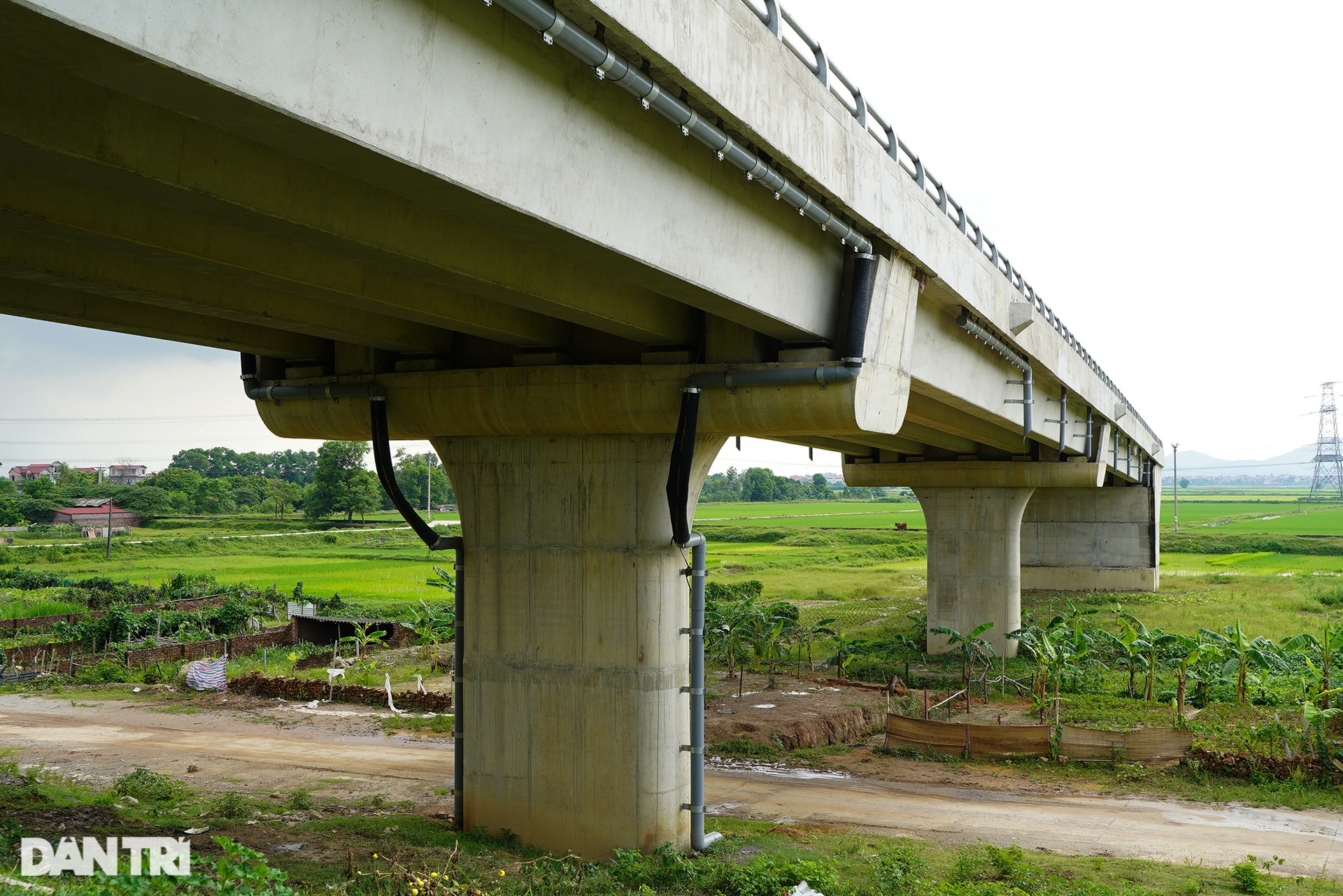 Cây cầu trăm tỷ xây xong bị bỏ hoang 2 năm trên đường vành đai 4 ở Hà Nội - 6 Cây cầu trăm tỷ xây xong bị bỏ hoang 2 năm trên đường vành đai 4 ở Hà Nội - 6