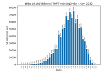 Phổ điểm các môn thi tốt nghiệp THPT 2022: Không có "mưa" điểm 10