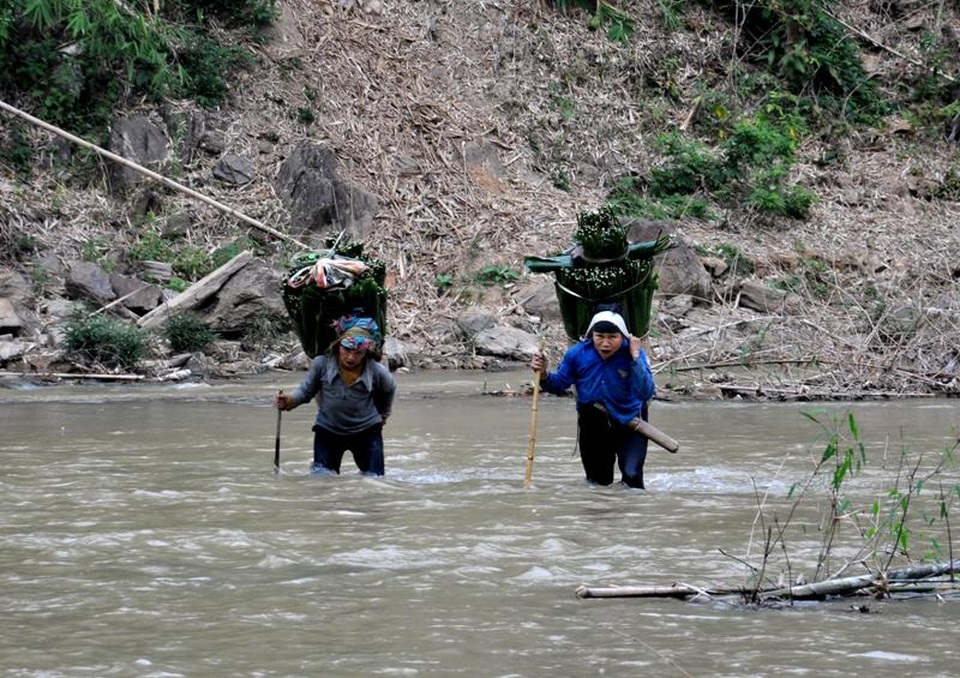 Thanh Hoá: Cận Tết, nhiều cụ bà gần 70 tuổi vẫn băng rừng, lội suối hái lá dong - 2 Thanh Hoá: Cận Tết, nhiều cụ bà gần 70 tuổi vẫn băng rừng, lội suối hái lá dong - 2