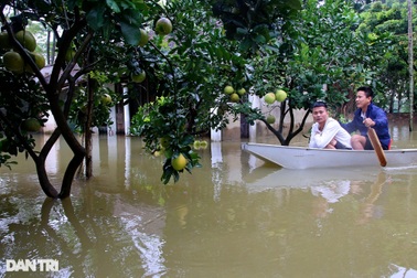 Nhiều thôn xóm ngoại thành Hà Nội ngập sâu trong nước