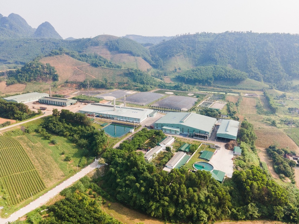 Tiềm năng và bài toán nâng tầm giá trị sắn Việt Nam của AHS - AIG - 1 Tiềm năng và bài toán nâng tầm giá trị sắn Việt Nam của AHS - AIG - 1