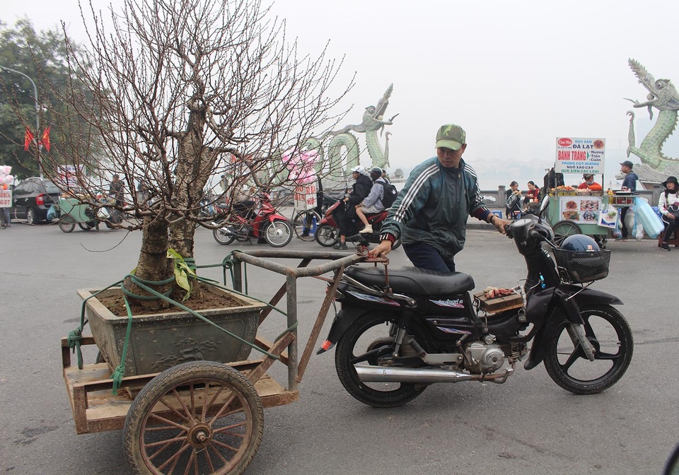 Người vận chuyển chạy sô, kiếm tiền triệu mỗi ngày nhờ chở cây cảnh - 1 Người vận chuyển chạy sô, kiếm tiền triệu mỗi ngày nhờ chở cây cảnh - 1
