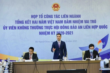 Việt Nam hoàn thành xuất sắc vai trò tại Hội đồng Bảo an Liên Hợp Quốc