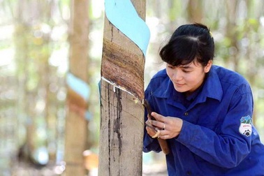 Chi phí tài chính tăng phi mã, công ty nông nghiệp của bầu Đức báo lỗ nghìn tỷ