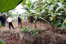 Một buổi sáng phát hiện 3 thi thể trôi trên sông