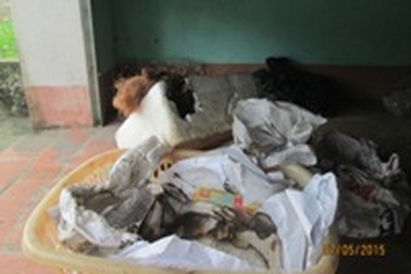 Hoang mang khi vật dụng trong nhà bỗng dưng bốc cháy