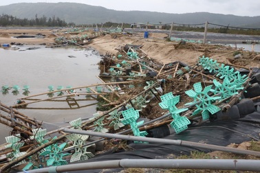 Hà Tĩnh: Nhiều đầm tôm trắng tay sau siêu bão số 10